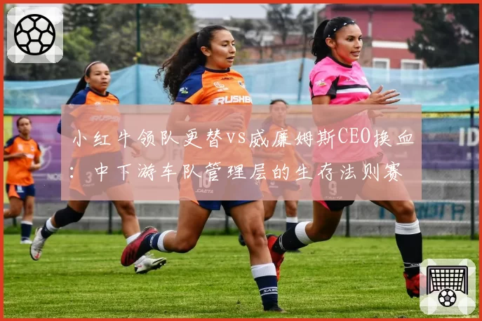 小红牛领队更替vs威廉姆斯CEO换血：中下游车队管理层的生存法则赛