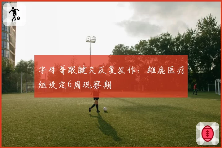 字母哥跟腱炎反复发作，雄鹿医疗组设定6周观察期